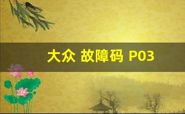 大众 故障码 P030300,p0302故障码什么意思